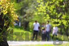 麻豆最新视频播放-康复绿色人生，麻豆最新视频播放的多元视角探索与应用