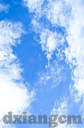 欧美免费成人在线视频-欧美免费成人在线视频，网络文化的新兴趋势与影响